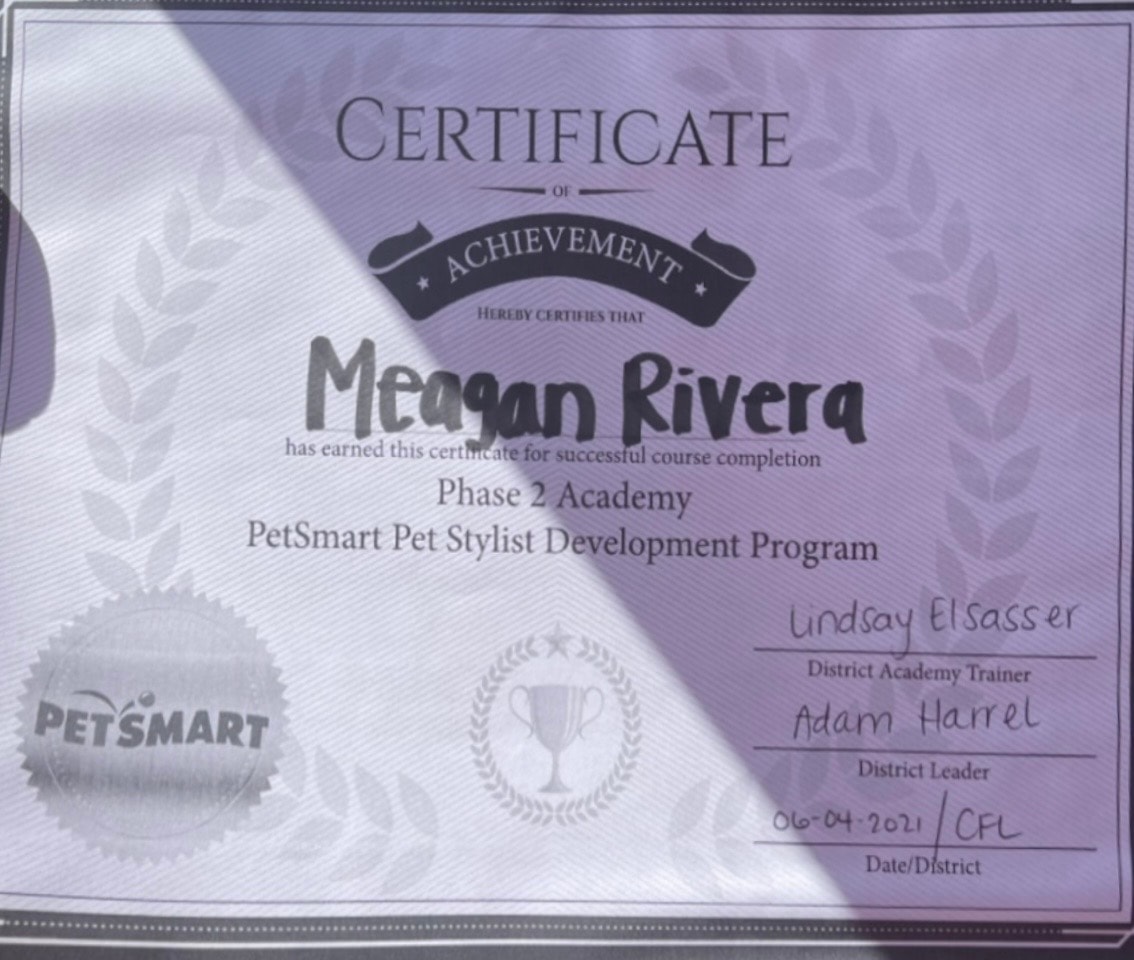 PetSmart Pet Stylist Development Program Phase 2 certificate — Meagan Rivera