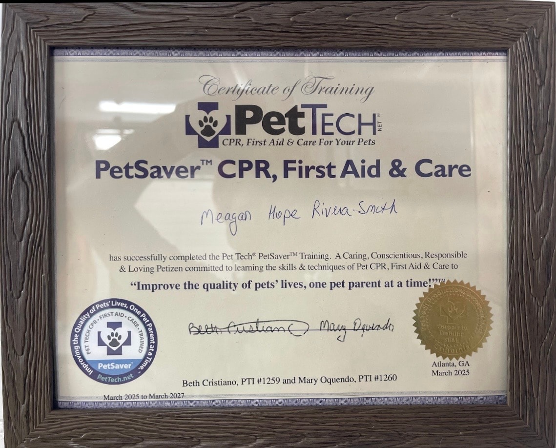 PetSaver CPR & First Aid certificate — Meagan Rivera