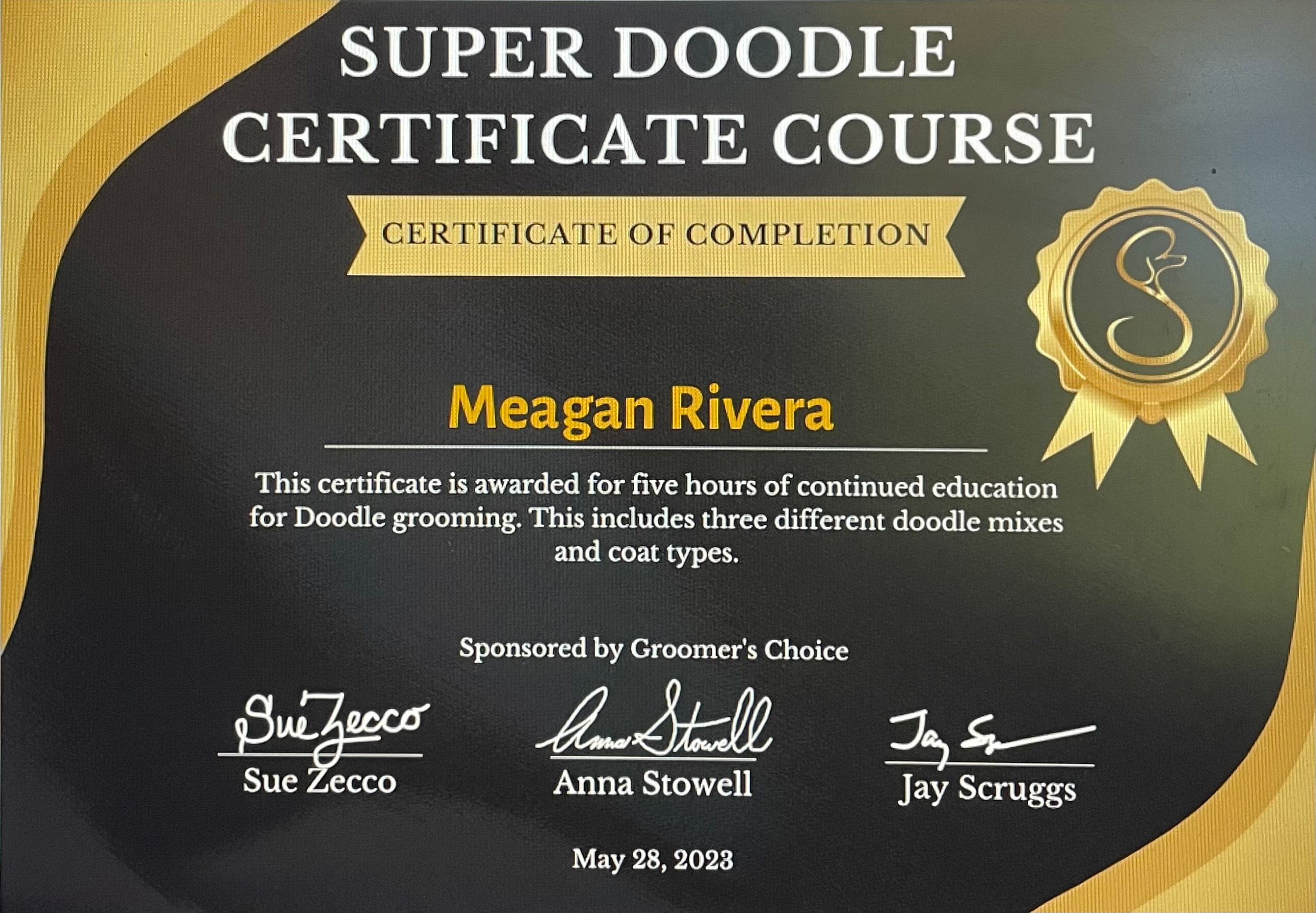 Super Doodle Certificate Course — Meagan Rivera
